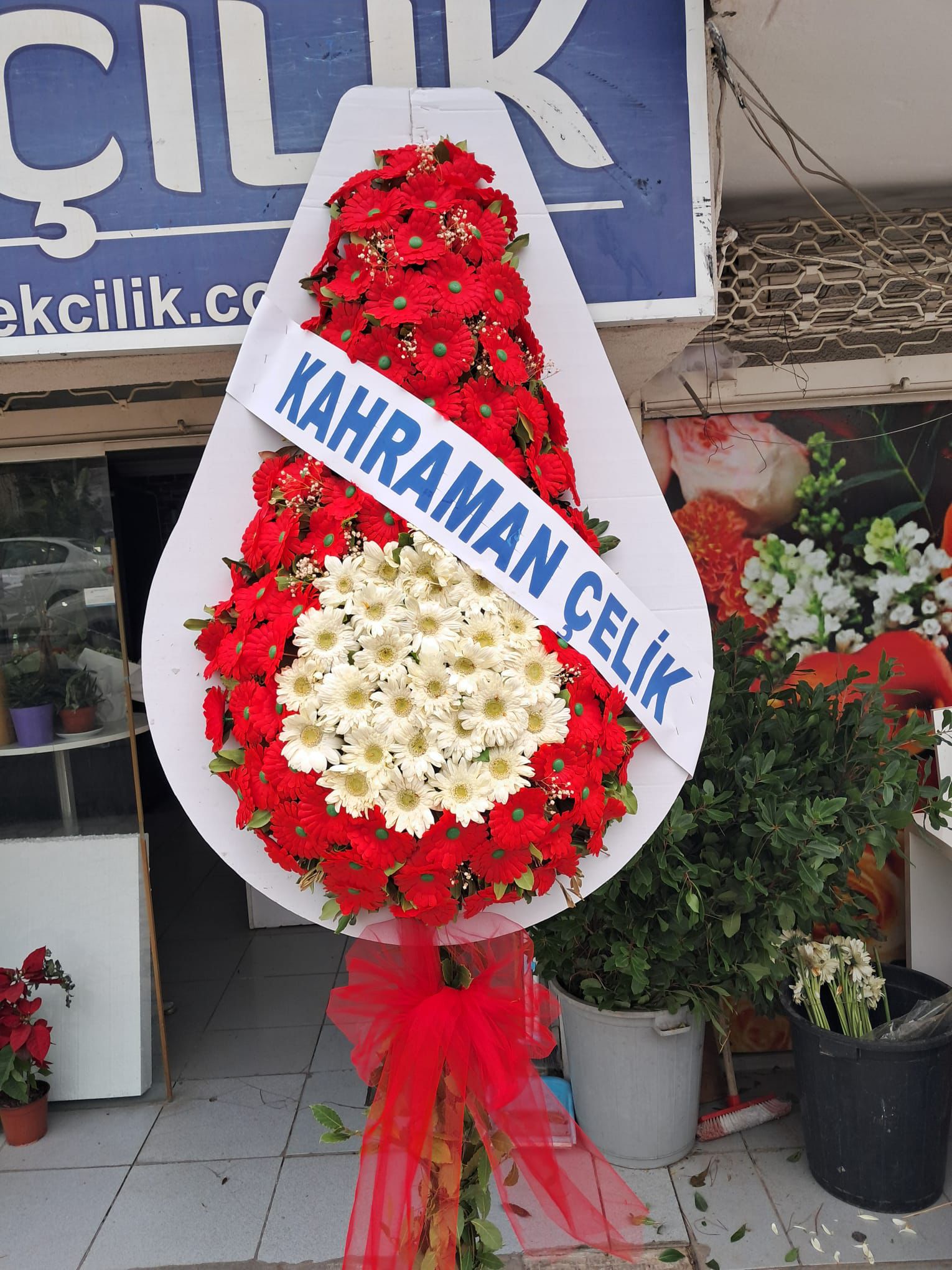 Canlı ve Kalıcı Armut Model Tekli Çelenk