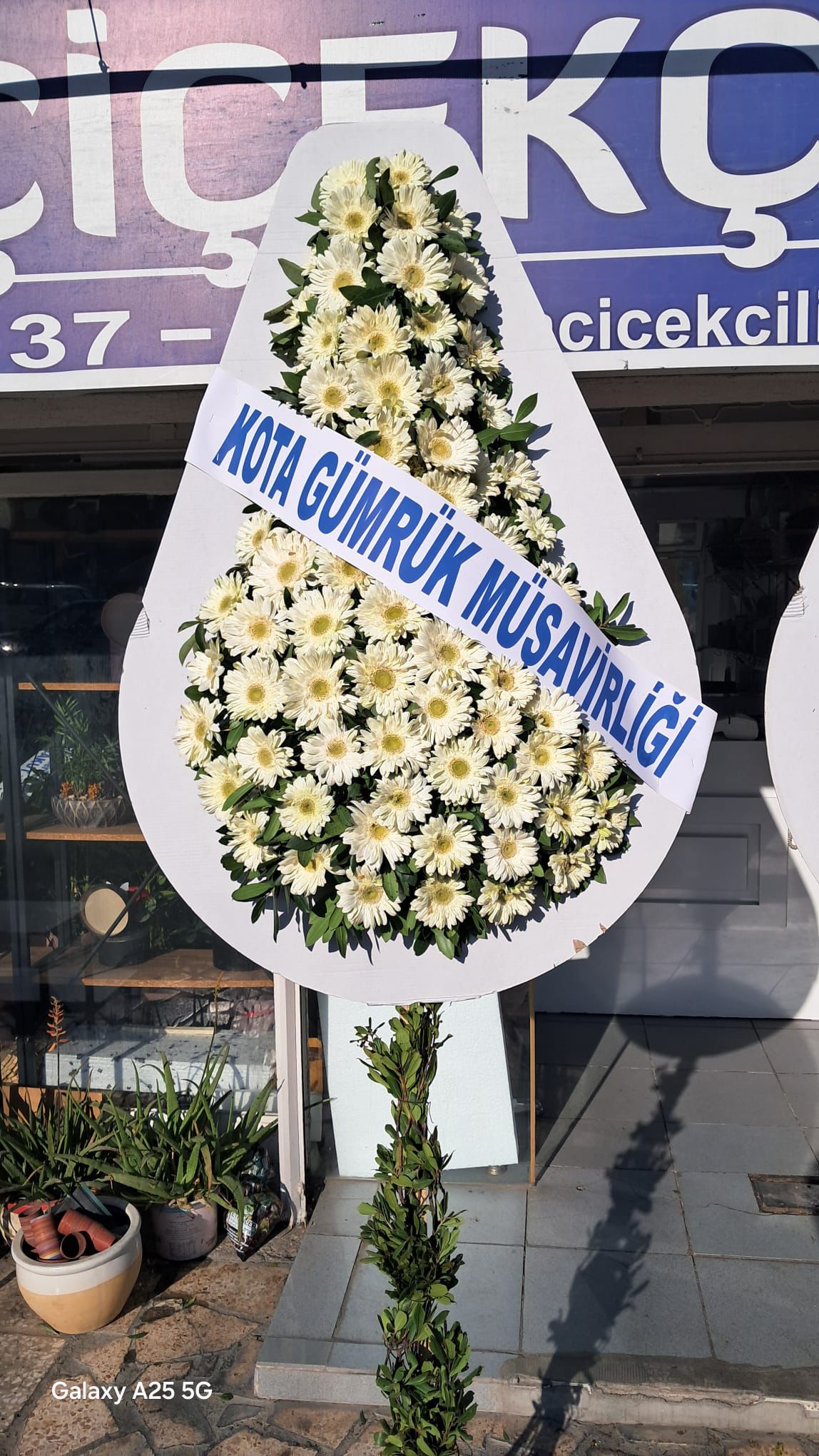 Canlı Armut Model Tekli Çelenk