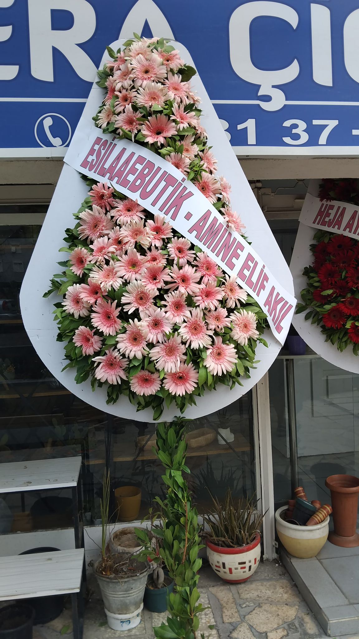 Canlı Armut Model Tekli Çelenk