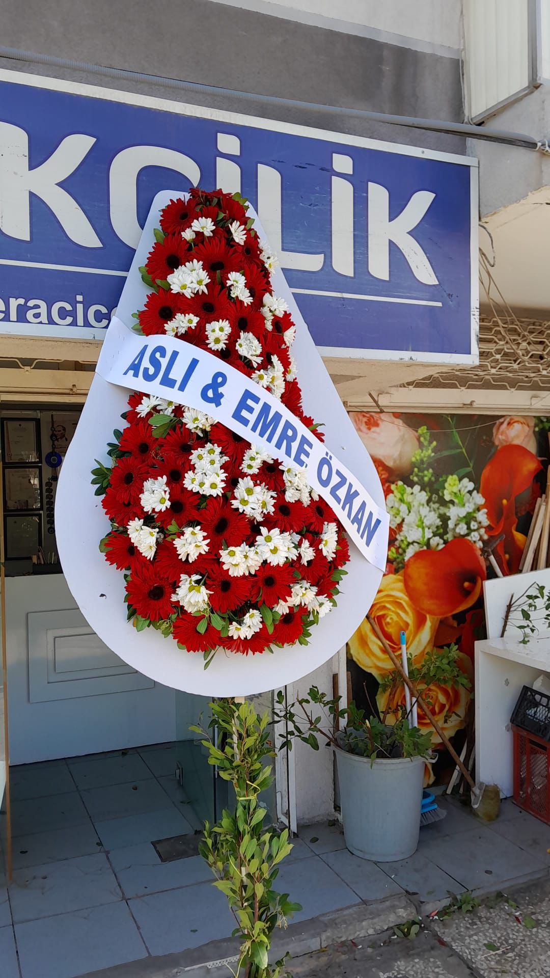 Canlı Armut Model Tekli Çelenk