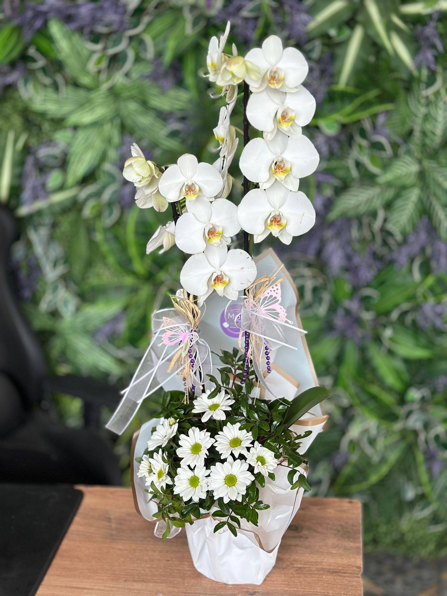 İthal Çift Dal Beyaz Orkide ve Papatya Arajmanlı