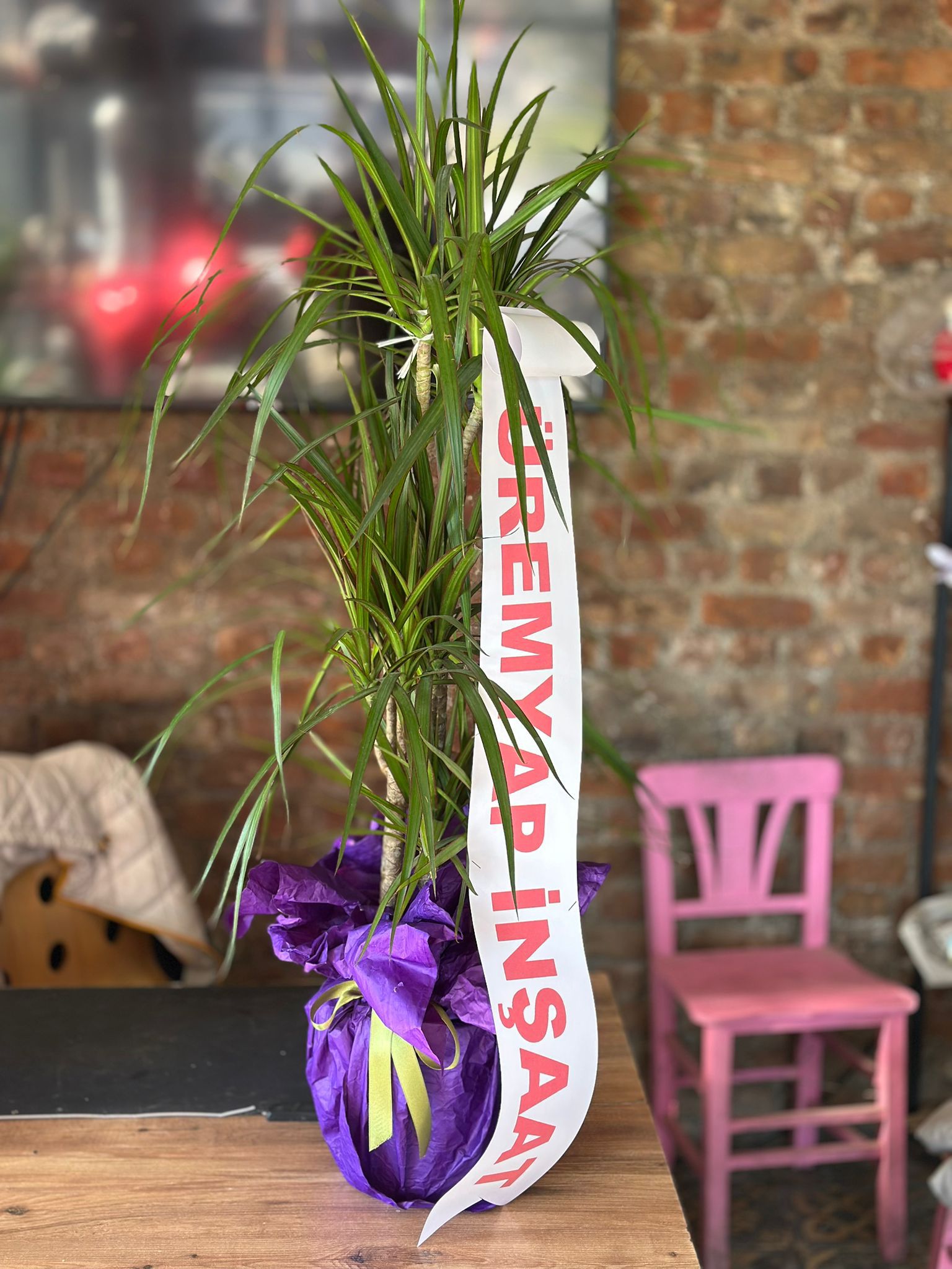 İthal İkili Marginata