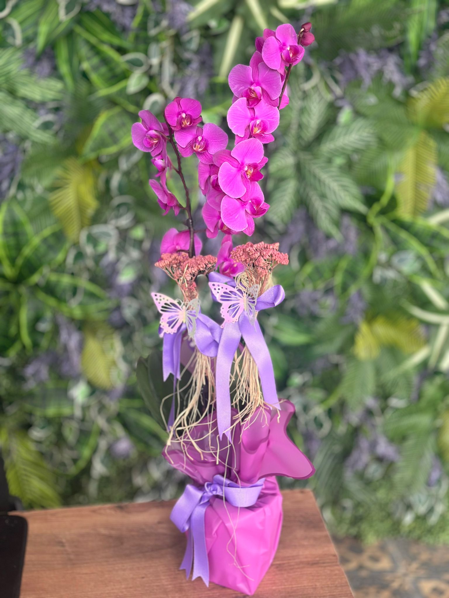 İthal Çift Dal Mor Orkide