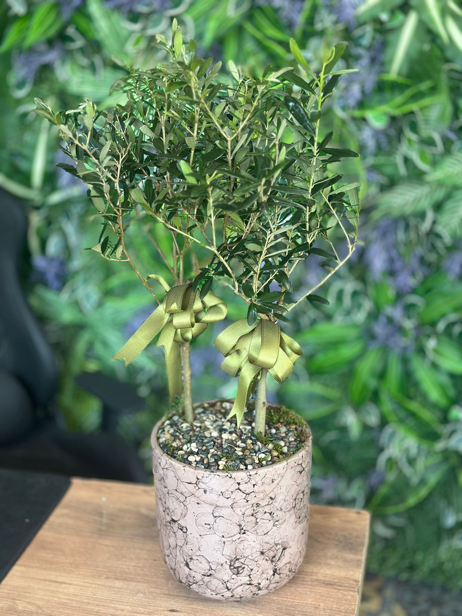 Özel Seramiğinde Çift Dal Zeytin Ağacı