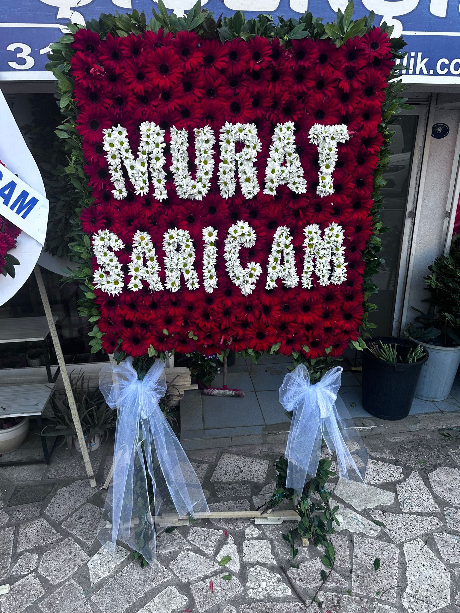 100x100cm Canlı Papatya Harfli Pano Çelenk